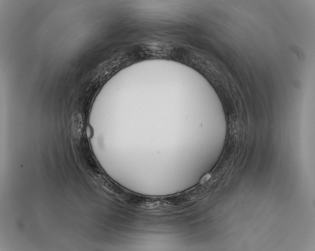 X0000112430752200909111030