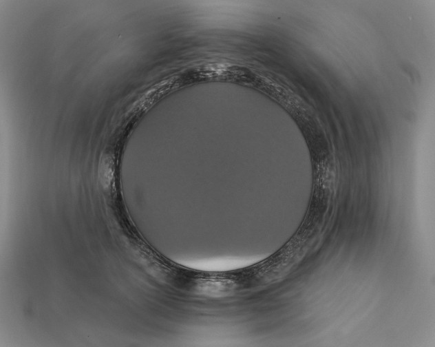 X0000112430754200909111030
