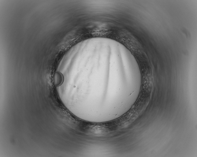 X0000112430755200909111030