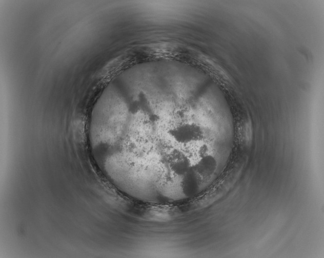 X0000112430757200909111030