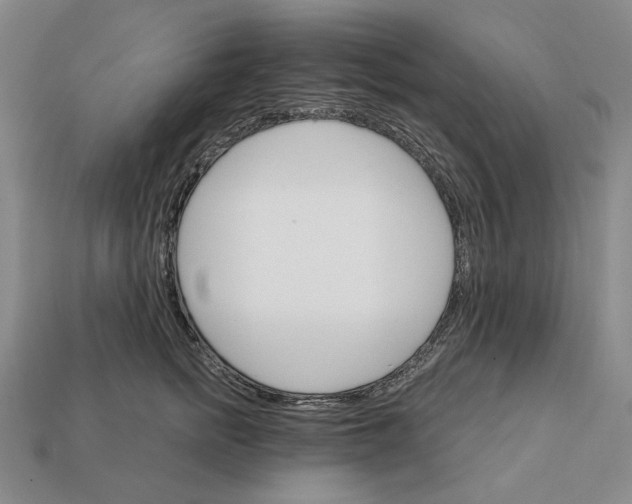 X0000112430758200909111030
