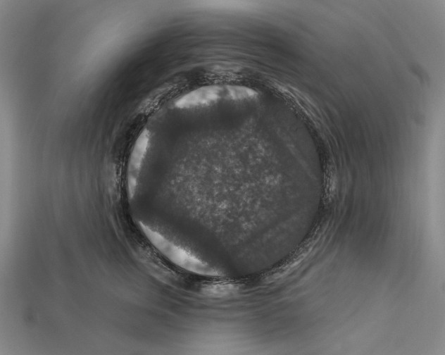 X0000112430759200909111030