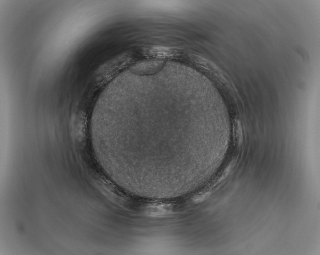 X0000112430760200909111030