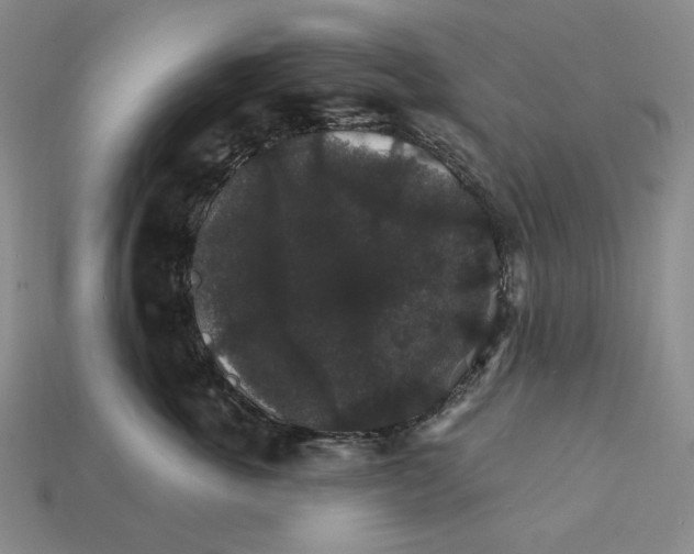 X0000112430763200909111030
