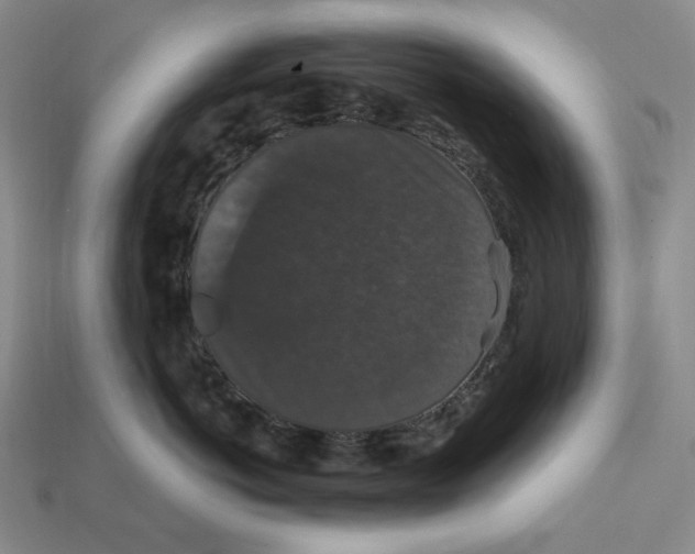 X0000112430766200909111030
