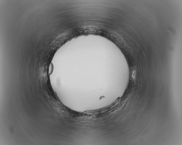 X0000112430771200909111029