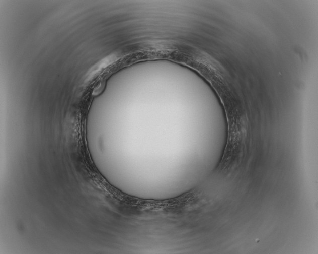 X0000112430773200909111029