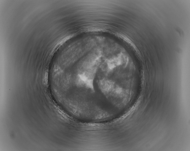 X0000112430777200909111029