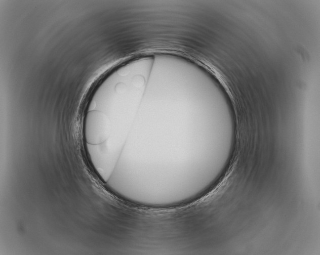 X0000112430779200909111029