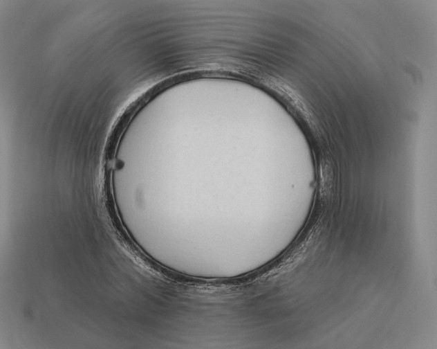 X0000112430780200909111029