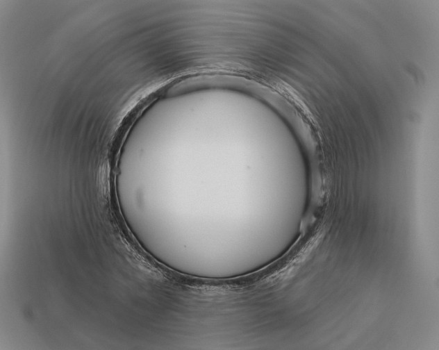 X0000112430781200909111029