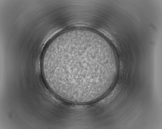 X0000112430782200909111029