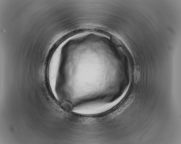 X0000112430783200909111029