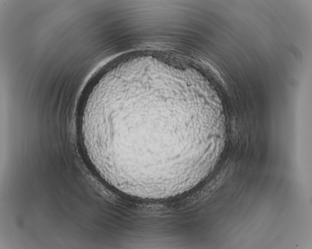 X0000112430784200909111029