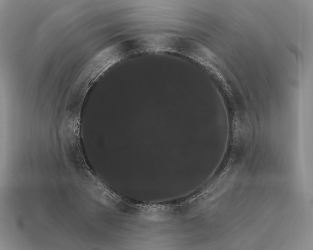 X0000112430785200909111029