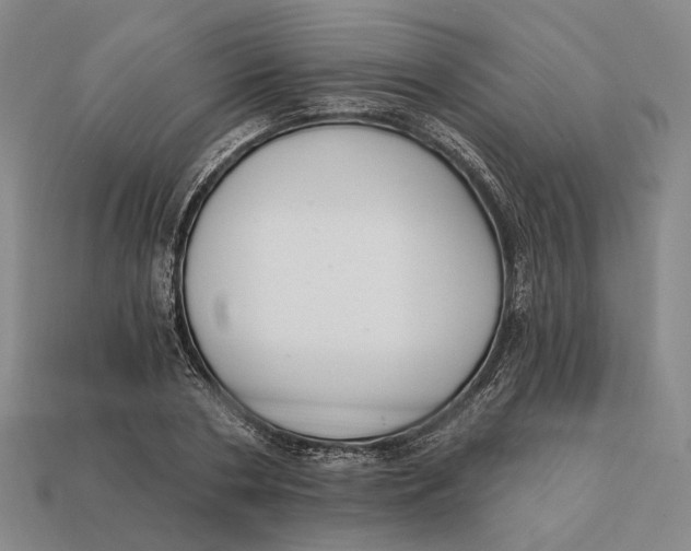 X0000112430786200909111029