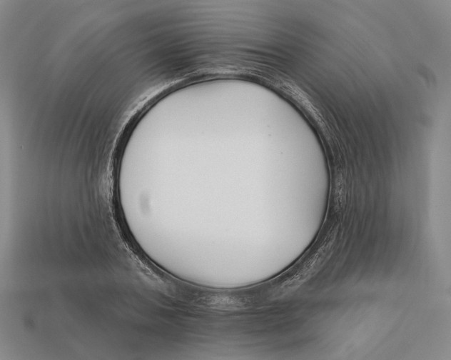 X0000112430787200909111029