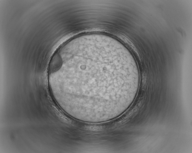 X0000112430789200909111029