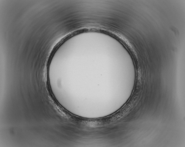 X0000112430791200909111029