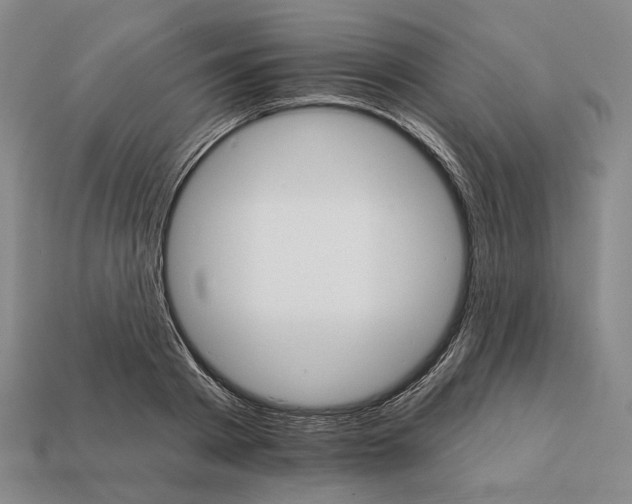 X0000112430793200909111029