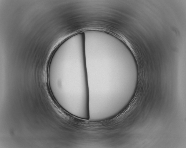 X0000112430795200909111029