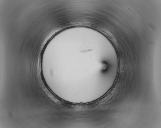 X0000112430796200909111029