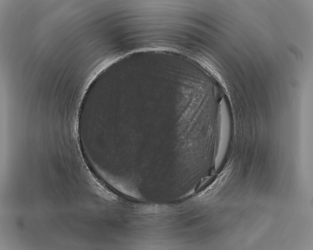 X0000112430797200909111029