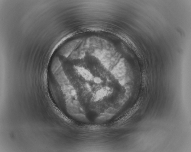 X0000112430798200909111029
