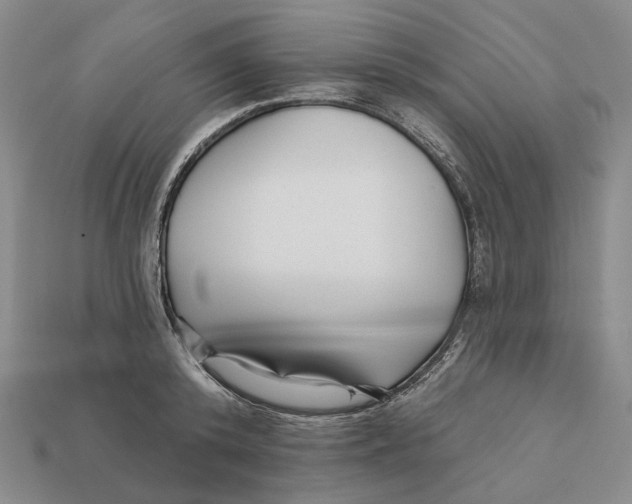 X0000112430800200909111029