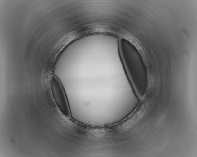 X0000112430801200909111029