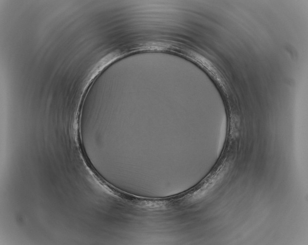 X0000112430802200909111029
