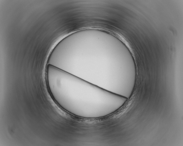 X0000112430803200909111029