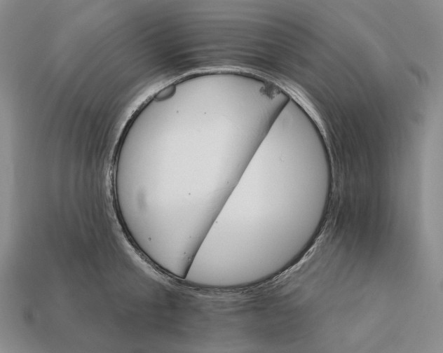 X0000112430805200909111029