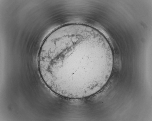 X0000112430807200909111029