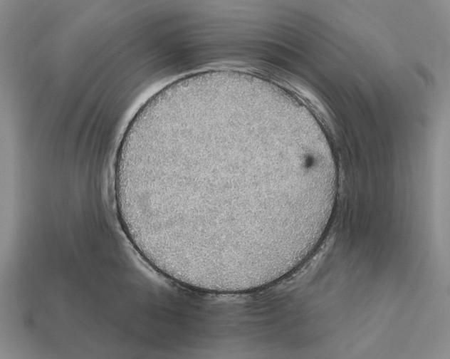 X0000112430808200909111029