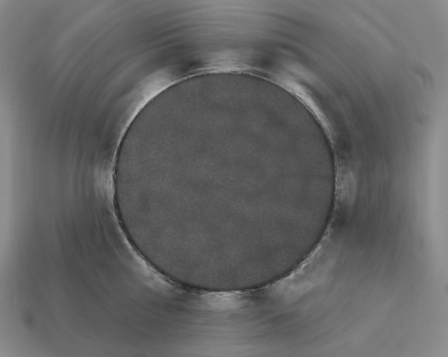 X0000112430810200909111029