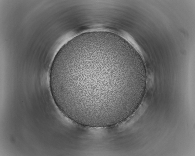 X0000112430813200909111029