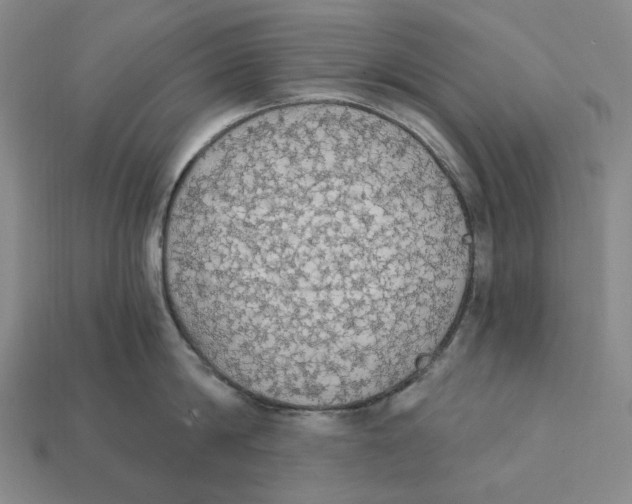 X0000112430814200909111029