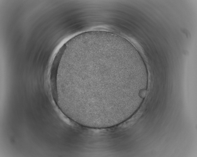 X0000112430816200909111029