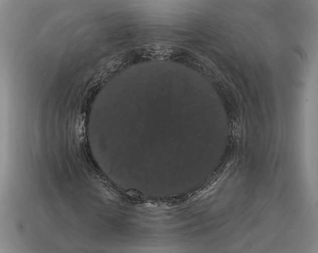 X0000112430818200909111028