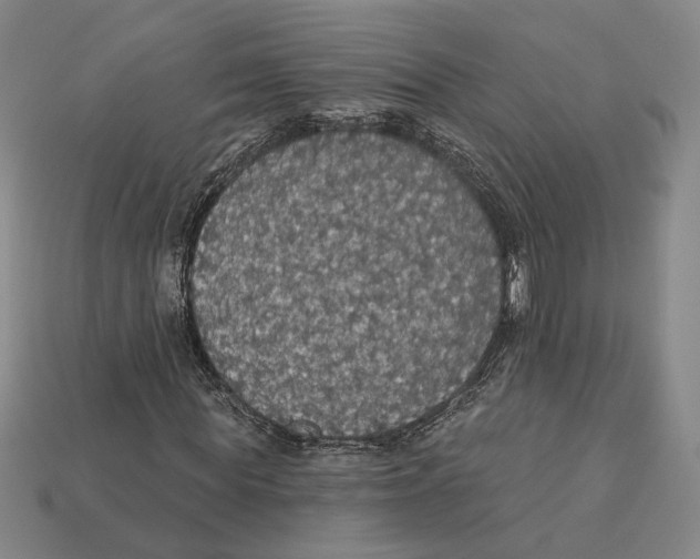 X0000112430819200909111028