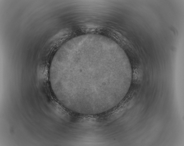 X0000112430820200909111028