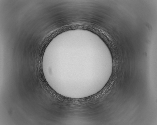 X0000112430821200909111028