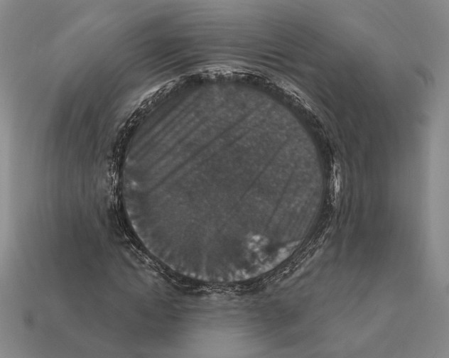X0000112430822200909111028