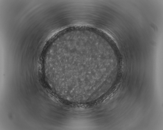 X0000112430823200909111028