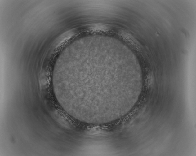 X0000112430824200909111028