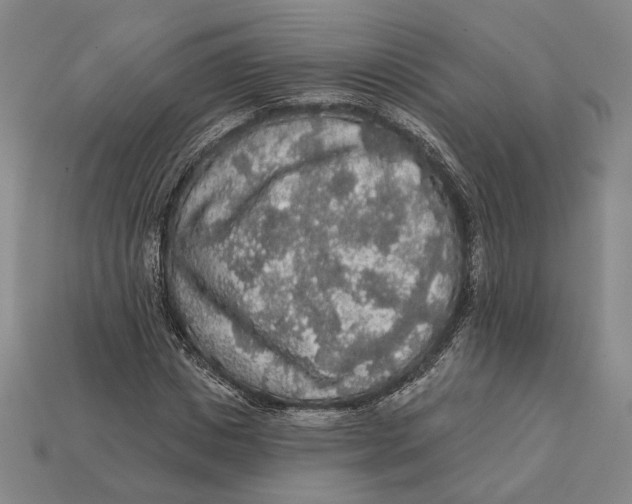 X0000112430825200909111028