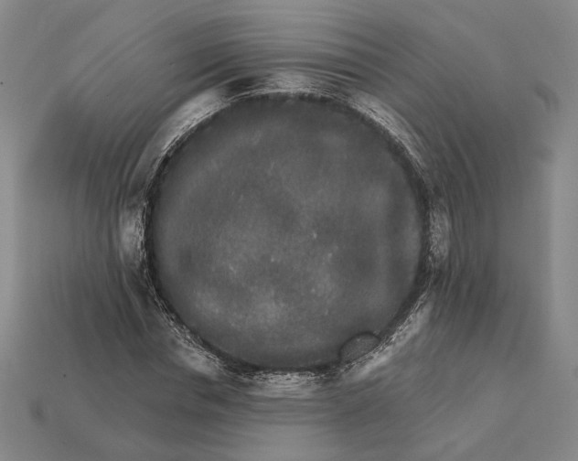 X0000112430826200909111028