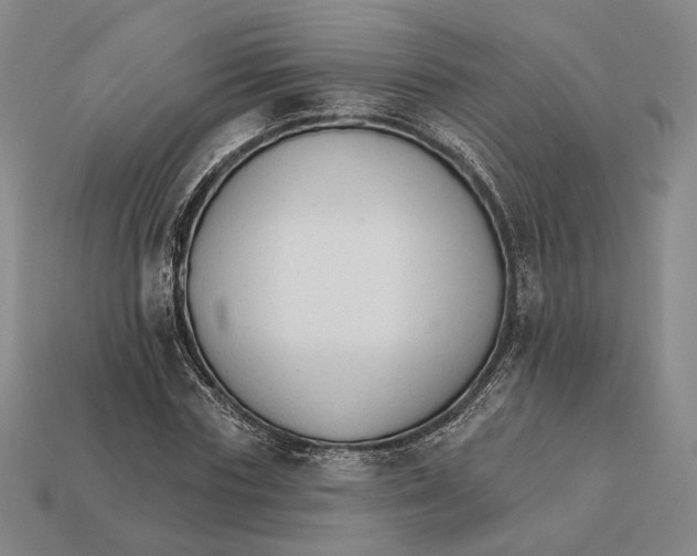 X0000112430827200909111028