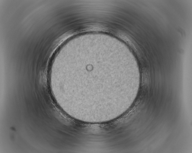 X0000112430828200909111028